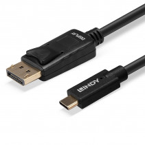 Adapteris - USB Type C į DP 4K60 5m 3840x2160 60Hz Auksu Padengtas