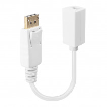 Adapteris - DisplayPort M/F į Mini DisplayPort F/F 4K Laidas