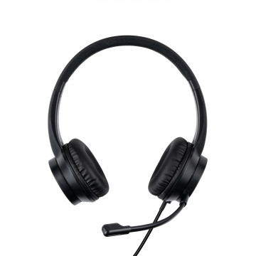 Ausinės - LINDY USB-C Ausinės, 40 mm Garsiakalbiai, Valdymo Mygtukai, 1,95 m Laidas, Juodos