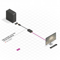 Adapteris - LINDY DisplayPort į VGA Aktyvus Konverteris, Juodas