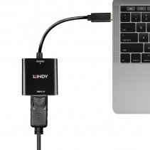 Adapteris - LINDY USB Type C į DisplayPort 4k144 Konverteris, Juodas