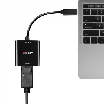 Adapteris - LINDY USB Type C į DisplayPort 4k144 Konverteris, Juodas