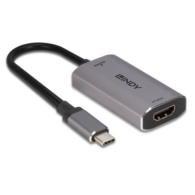 Adapteris - LINDY USB Type C į HDMI 8K60 Konverteris, Pilkas