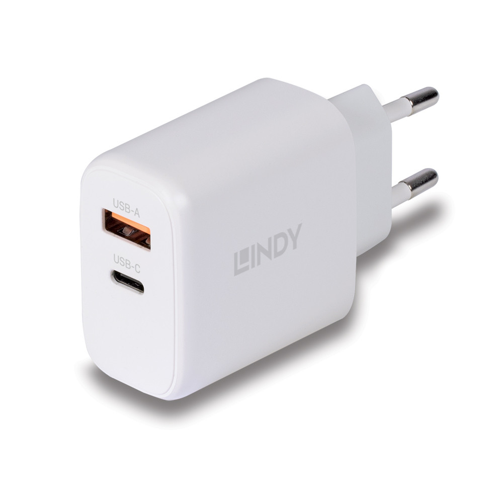 Įkroviklis - LINDY 65W USB Type A & C GaN Įkroviklis, Baltas